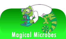 Magical Microbes