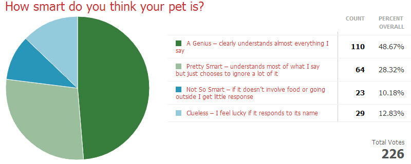 How smart do you think your pet is?
