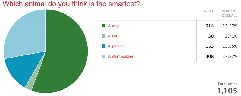 Which animal do you think is the smartest?