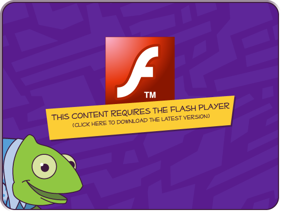 Download the Flash Player